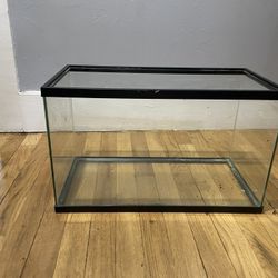 10 Gallon Fish Tank