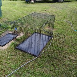 Dog Cage