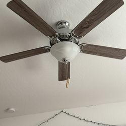 Two Identical Ceiling Fans