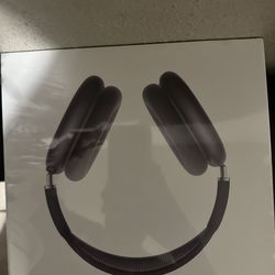 Air Pods Max