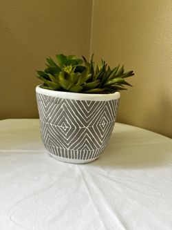 Fake Plant House decor