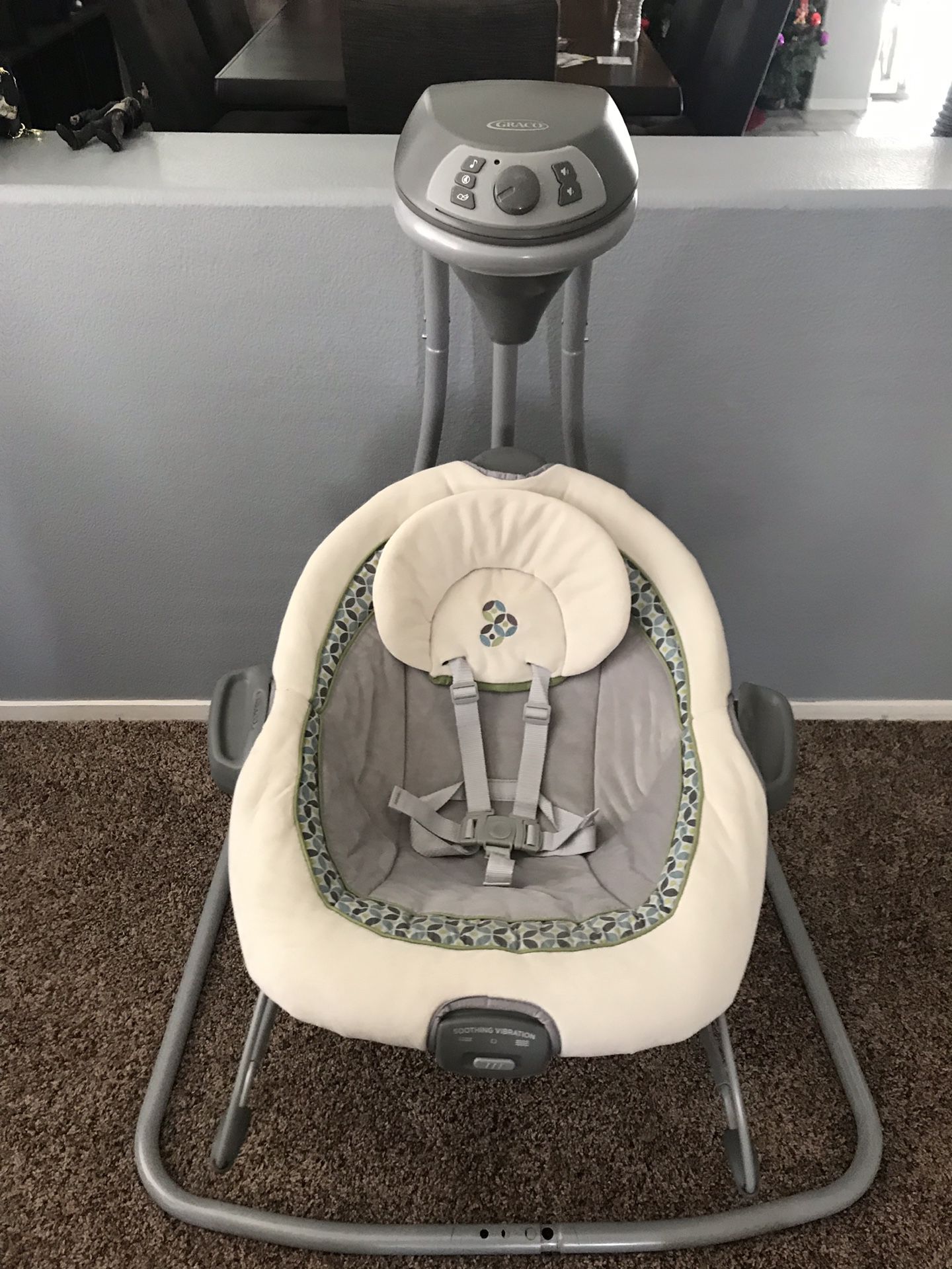 graco DuetConnect Baby Swing and Bouncer