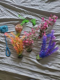 Fish tank accessories