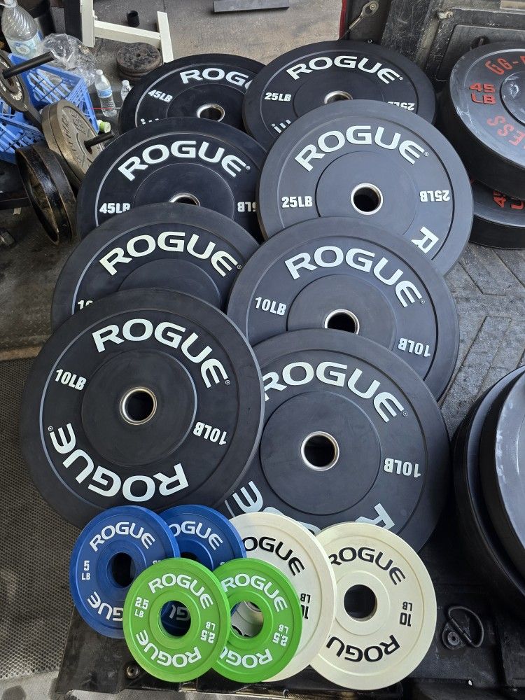 Weight Rogue Bumper Plates