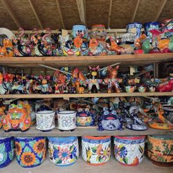 Talavera Pottery, Plants And Much More! 