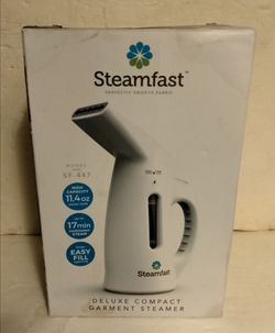 Handheld Steamer