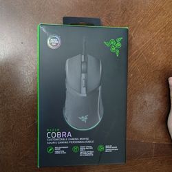 Razer Mouse