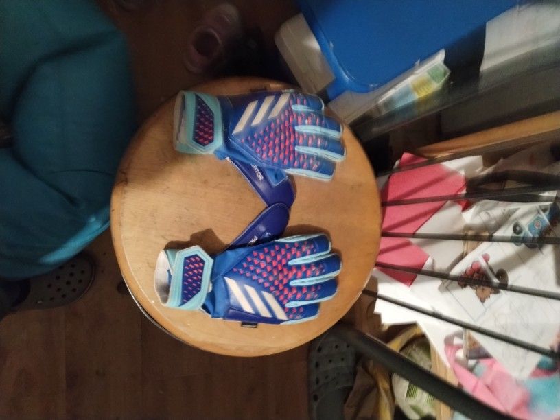 Goalkeeper Gloves Adidas