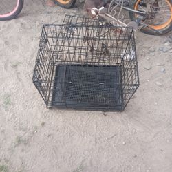 Pet 🐶 Cage