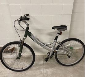 Schwinn DS. “Sram Dual Drive” w/adjustable Seat