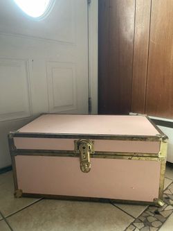 Pink storage trunk