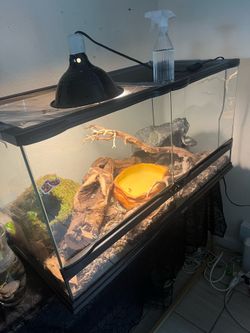 Glass tank