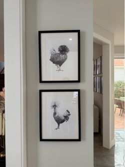 Rooster Wall Art (2)