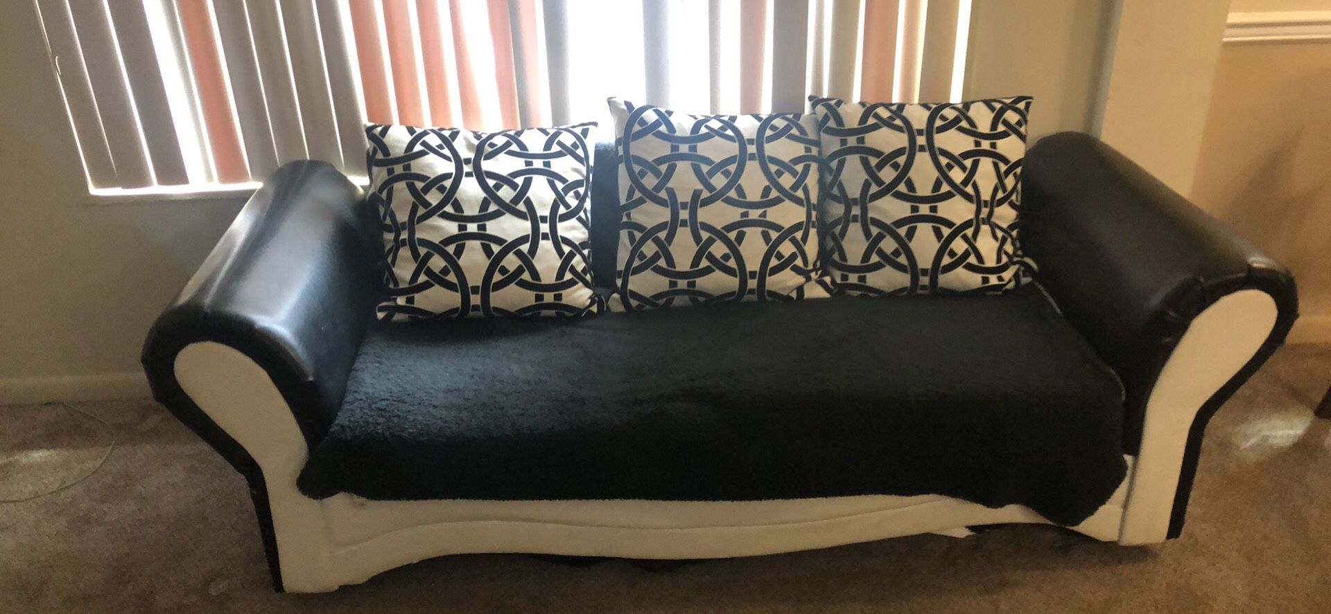 2 Piece Couch Set
