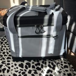 Artic Ice Cooler 