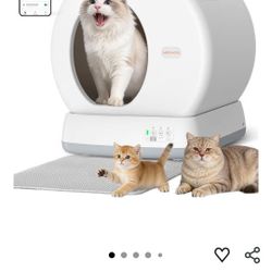 Automatic Litter Box