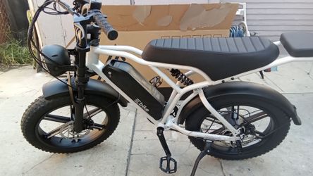 Tst adult ebike