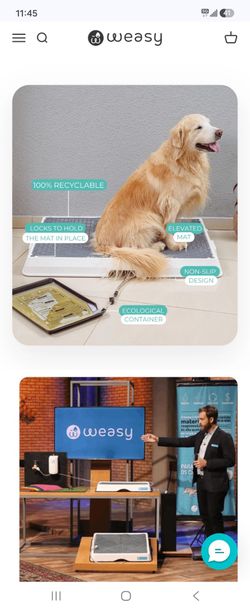 Weasy Smart Potty