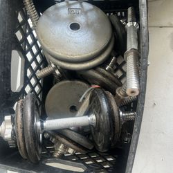 Weights And Bench Equipment 