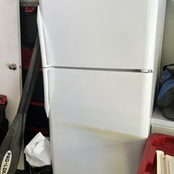 Garage Fridge