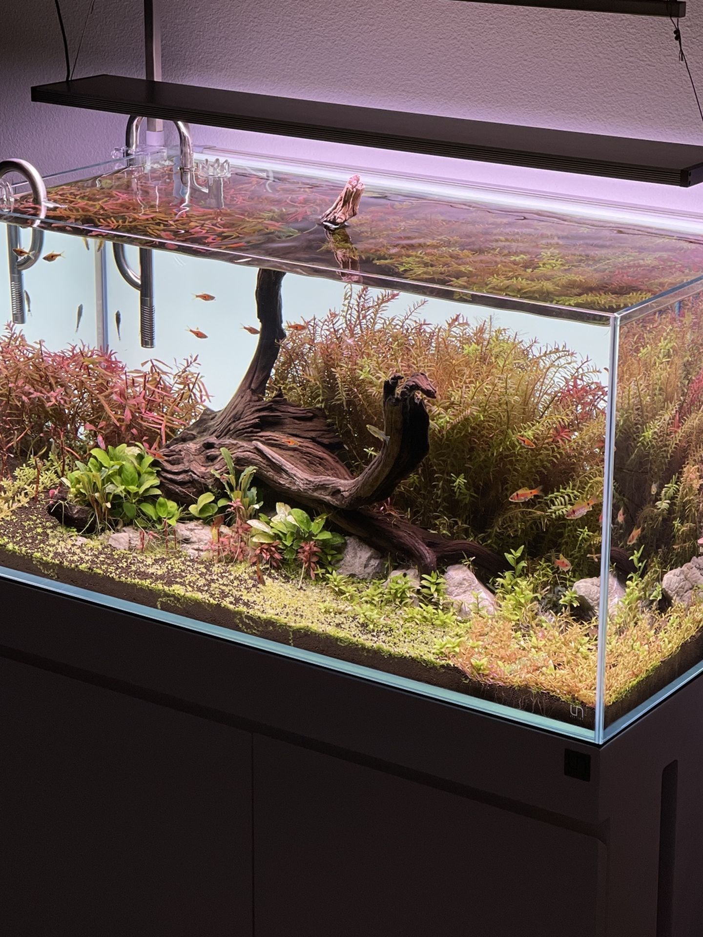 UNS Low-Iron Rimless Aquarium