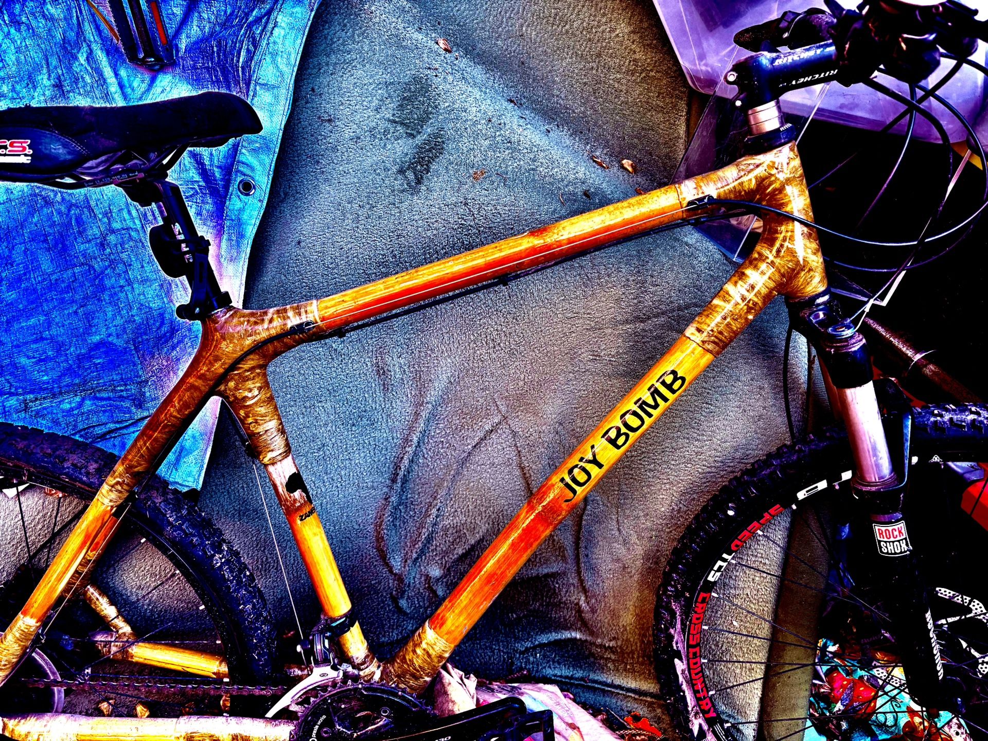 Joy Bomb Bamboo Bike