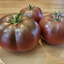 Organic Dark Star Tomato Seeds! 2026 SEASON RELEASE! Available Now!