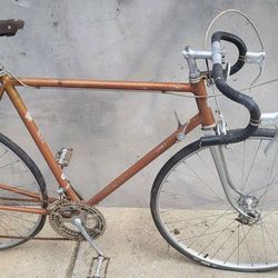 1962 Schwinn Chicago Super Sport 15spd. And 10spd. Varsity