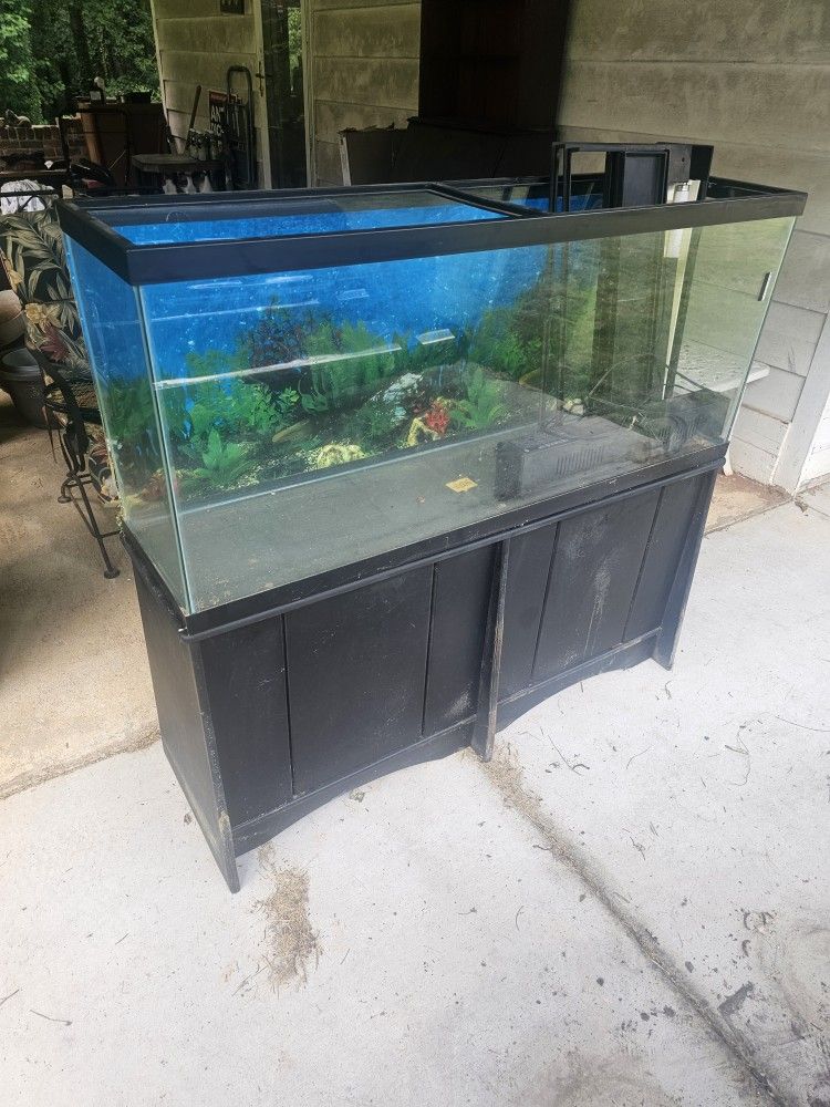 Aquarium,  100 Gal
