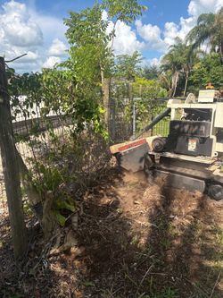 Stumps Grinding