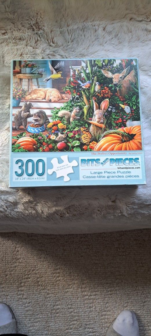 300 Piece Puzzles 