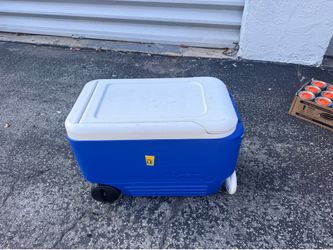 Cooler