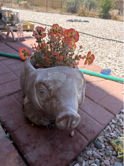 Unique pig shaped ceramic planting pot
