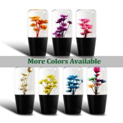 10CM JDM Clear Real Flowers Manual Gear Stick Shift Knob Lever Shifter Head VIP -(3-SK-FLS-B-WH-
