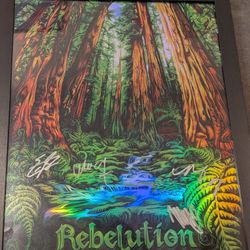 Rebelution 2023 Foil + Signed Summer Tour Poster