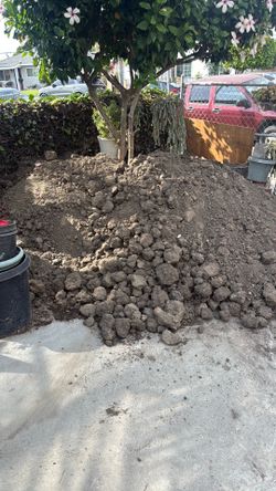 compton free dirt pick up