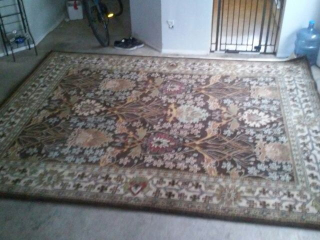 Crate and barrel 8x10 asimi wool rug 627-151