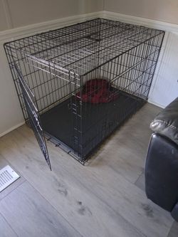 Large dog kennel