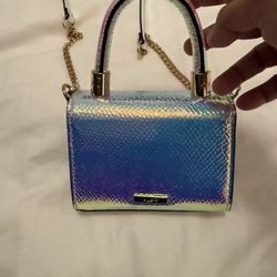 Pretty Hand Bag( Mini) Almost New! From ALDO ( Make Ofer) 