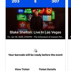 Blake Shelton In Vegas!!