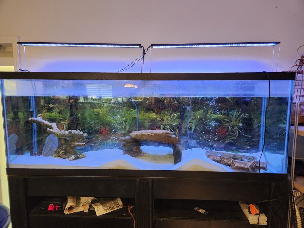 Large Fish Tank Aquariums - 135 & 150 Gallon