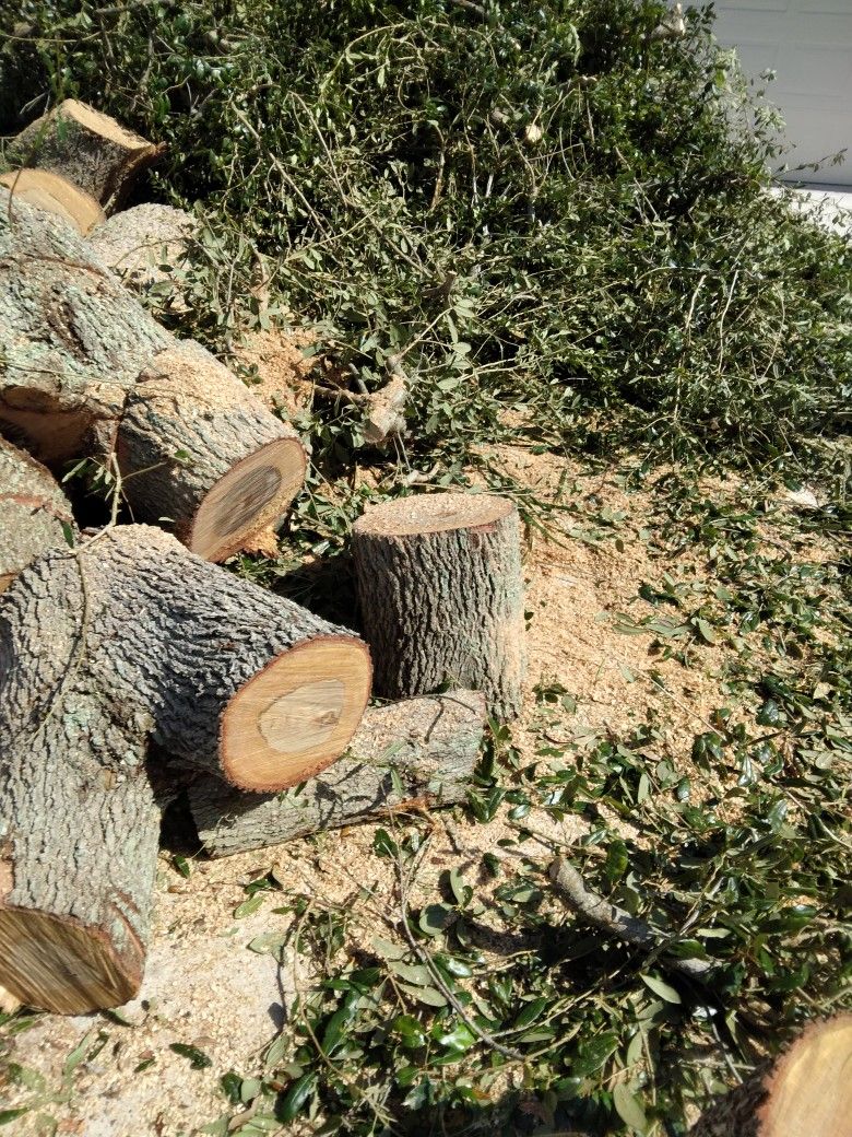 Tree Trimming Lawn Care.. Tex Me