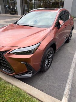 2026 Lexus Nx