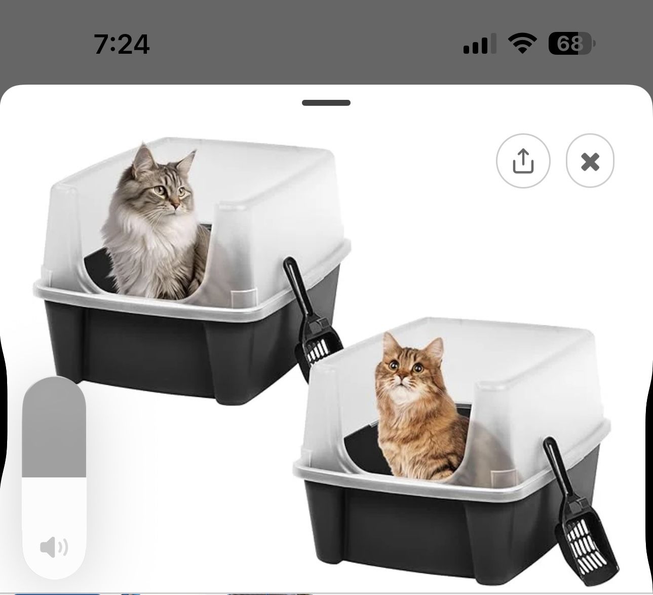 Litter Box