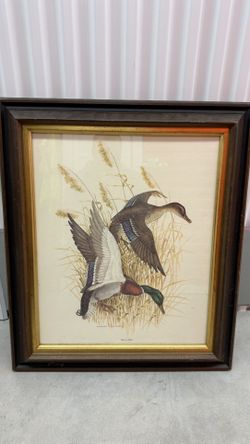 Vintage Mallards Duck Print by Charles E. Murphy – Framed Wildlife Art