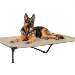 Outdoor Elevated Dog Bed Large Sized Dogs