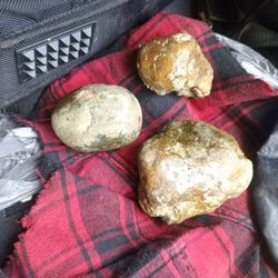 Rocas geoda O Fósil  