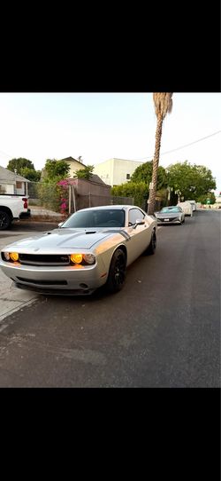 2010 dodge challenger