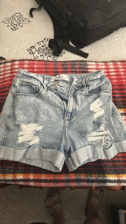 Hollister