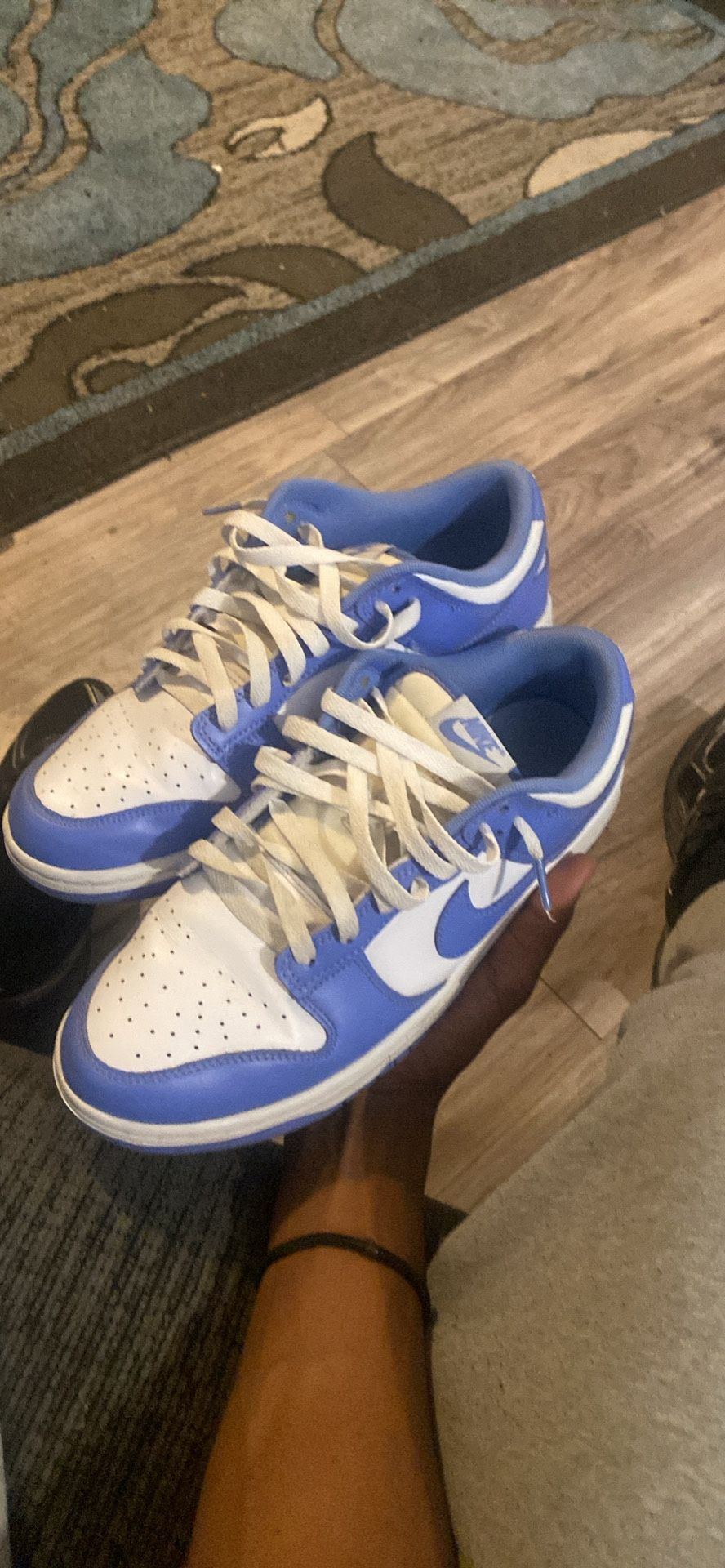 Nike Dunks 9.5